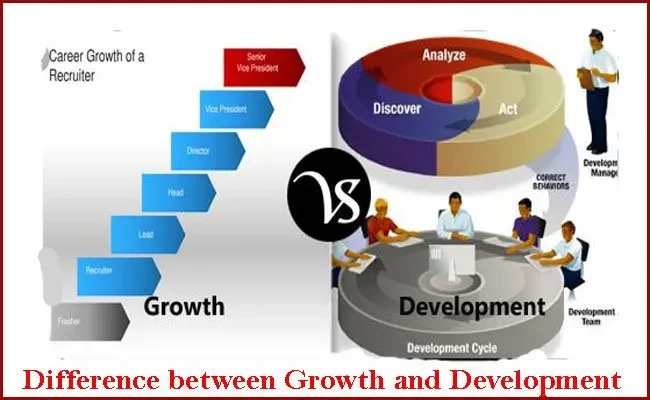 The Difference Between Reach-Based Growth and Engagement-Based Growth